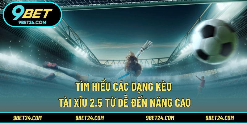 Tìm hiểu các dạng kèo Tài Xỉu 2.5 từ dễ đến nâng cao