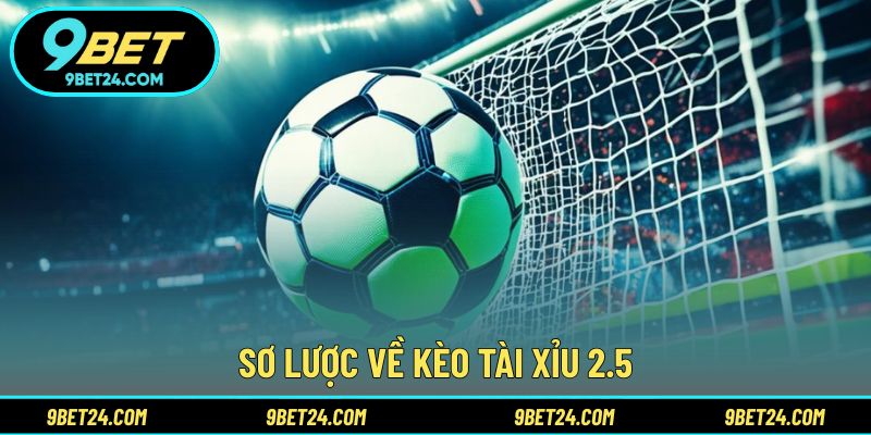 Sơ lược về kèo tài xỉu 2.5